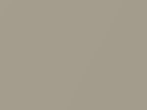 Hyundai Atoz Real Earth Metallic 2007 H2 - Scratch Repair