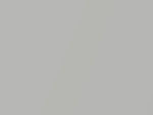 Fiat All Models Grigio Shine Metallic 2007 755
