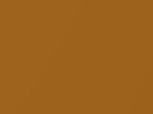 Honda All Models Sundance Gold Metallic 1998 YR529P - Scratch Repair