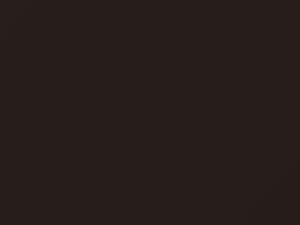 Subaru All Models Oak Brown Pearl 2019 NAG