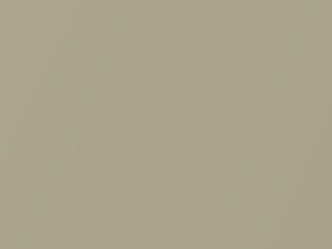 Subaru All Models Champagne Gold Pearl 2011 93H