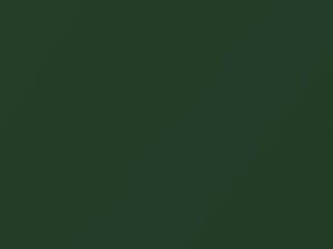 Nissan All Models Green Iron Oxide Pearl 2019 DS2