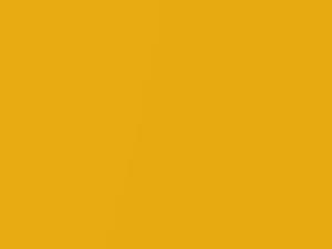 Nissan All Models Yellow Pearl 2016 EAZII