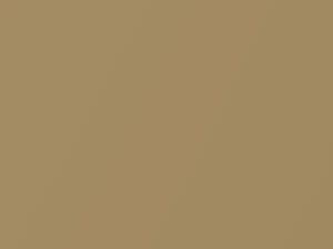 Chevrolet All Models Goldish Beige Metallic 2002 235L, 67U, WA235L - Scratch Repair