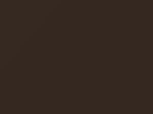 Suzuki All Models Sherwood Brown Metallic 2018 ZYB