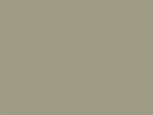 Toyota All Models Olive Mist Metallic 2006 6U4