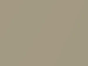 Nissan All Models Velvet Beige Metallic 2003 EY1 - Scratch Repair