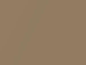 Nissan Cube Light Brown Metallic 2009 CAD - Scratch Repair