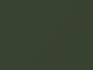 Kia Sportage Natural Olive Metallic 2004 9L