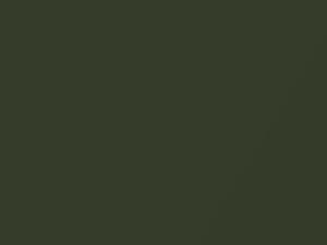 Audi A5 Distriktgruen Metallic 2021 LX6M, M4, M4M4, X6M