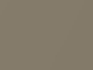 Nissan All Models Sandrift Beige Metallic 2001 CV4 - Scratch Repair