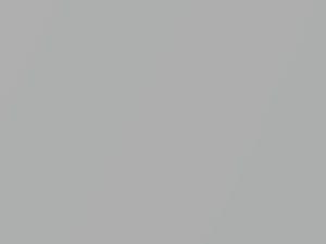 Fiat Panda Grigio Allegro Metallic 2018 565, 565A