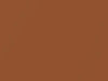 Nissan All Models Caramel Brown Metallic 2000 CT0