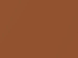 Nissan All Models Caramel Brown Metallic 2000 CT0 - Scratch Repair