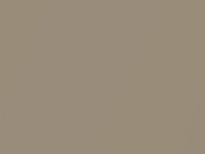 Toyota All Models Natural Beige Metallic 2020 T32
