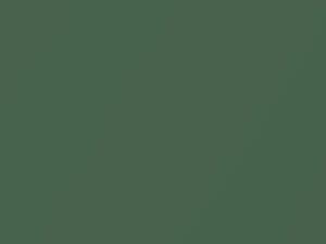 Suzuki All Models Tool Green Metallic 2019 ZYS