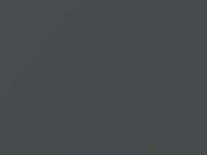 Dodge Challenger Burn-Out Gray/Garbage Can 2020 PAE, VAE - Scratch Repair