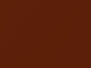 Dodge Charger Sinamon Stick Metallic 2021 PEC, VEC - Scratch Repair