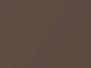 Dodge Ram Truck Medium Bronze Pearl 2000 DT6667, DT6668, PTL, XTL - Scratch Repair