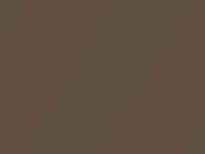 Dodge All Models Woodland Brown Pearl Metallic 2004 PU2, U2, YU2 - Scratch Repair