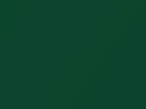 Ford Fiesta Electric Green Metallic 2003 594, EG, M6953A, M6954A, SW - Scratch Repair