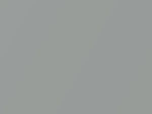 Kia Rio Diamond Silver Metallic 2002 C5