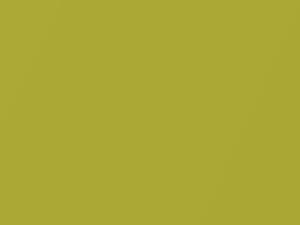 Hyundai Accent Acid Yellow Metallic 2018 W9Y
