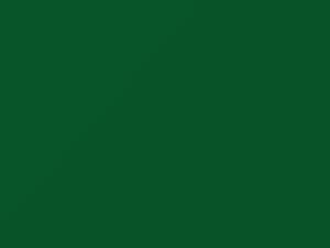Ford All Models Kent Building Supply Green 2020 MX7042358, X0458G
