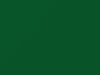Ford All Models Kent Building Supply Green 2020 MX7042358, X0458G
