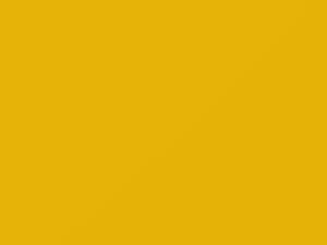 Ford All Models Service Master Yellow 2020 DT520, MX7081238