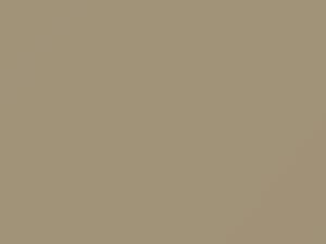 Fiat All Models Avorio Chic 2017 689, 689B - Scratch Repair