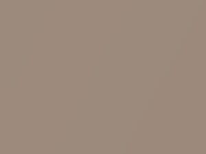 Volkswagen All Models Pale Copper Metallic 2020 J7, LP2X, P2X