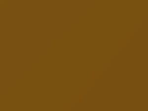 Volkswagen All Models Curry Yellow 2019 9184, LN1N, N1N