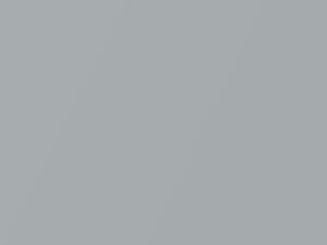 BMW Roadster Arctic Silver Metallic 1999 309