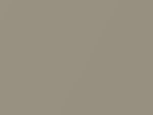 Kia All Models Sand Beige Metallic 2010 4Y