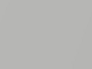 Mercedes-Benz Vario Brilliant Silver Metallic 2011 744, 9744, HD3, PD3