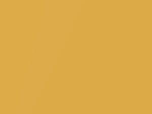 Kia All Models Honey Bee Metallic 2020 B2Y