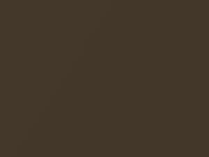 Nissan All Models Woodland Bronze Metallic 2006 C21