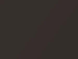 Audi A4 Argus Brown Metallic 2016 LY8S, W3, W3W3, Y8S