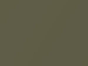 Ford All Models Ginger Ale Metallic 2015 739, DJSC, DJSCWWA, J