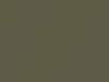 Ford All Models Ginger Ale Metallic 2014 739, DJSC, DJSCWWA, J