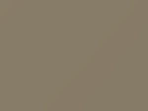 Mitsubishi All Models Beige Metallic 2020 CMS10045, S45