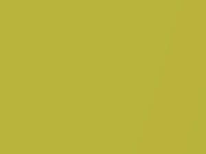 Toyota All Models Mustard Yellow Metallic 2020 Y15