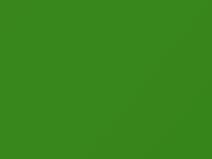 Ford All Models New Servpro Green 2020 DP764, MX7042356