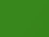 Ford All Models New Servpro Green 2020 DP764, MX7042356