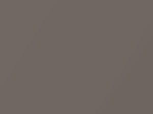 Chrysler All Models Light Toffee Silver Metallic 2017 AY111PTE, PTE