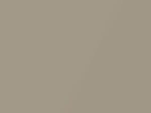 Kia Sedona Silky Beige Metallic 2003 D3