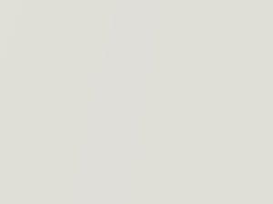Lexus All Models Starfire Pearl 2017 077, 77