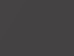 BMW 7 Series Bernina Gray Amber Pearl/Berninagrau Bernstein Pearl 2020 C3E