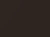 Tesla All Models Sycamore Brown Metallic 2018 E100E, PMAB